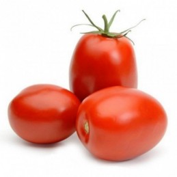 TOMATE SEGUNDA P/KG