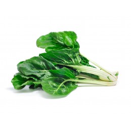 QUESO DEL VECCHIO...